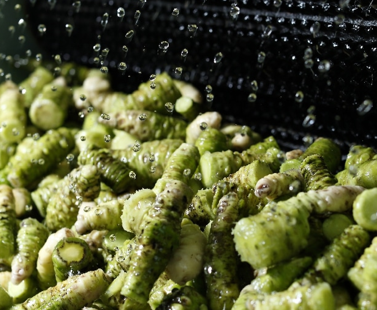 こだわりの仙台味噌